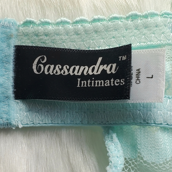 Cassandra Intimates Angel Blue Lace Chemise - Picture 4 of 7